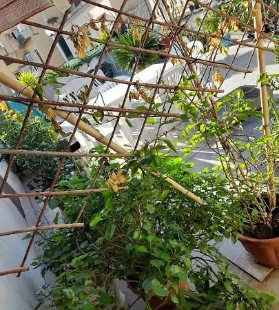La Mansarda In Terrazza-napoli Centro
